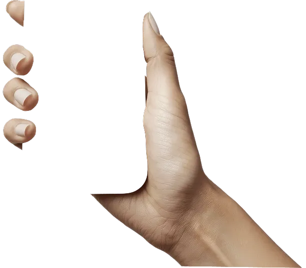 hand